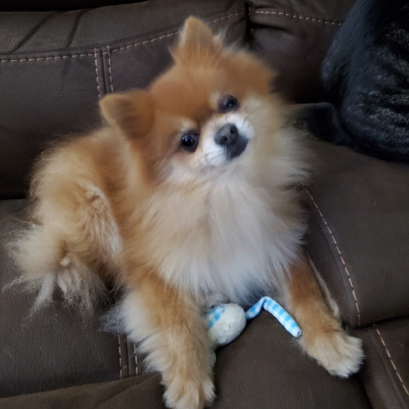 #Tag UR Closet 4 Daily Follows ๐ - Picture 10 of 13